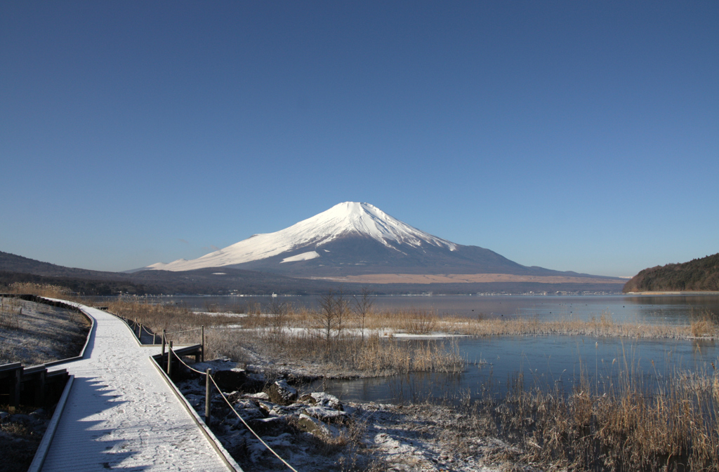 Mt.fuji110114_004