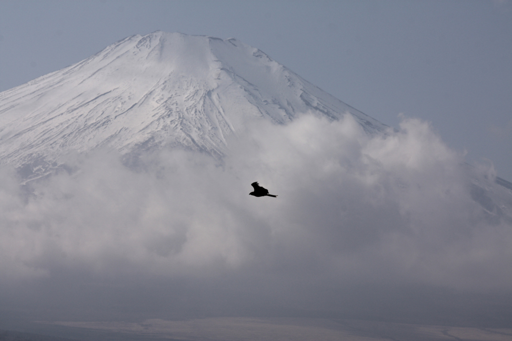Mt.fuji110208_007