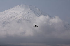 Mt.fuji110208_007
