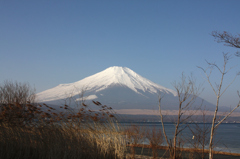 Mt.fuji110207_004
