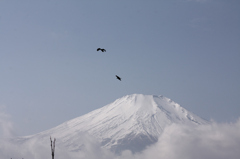 Mt.fuji110208_004