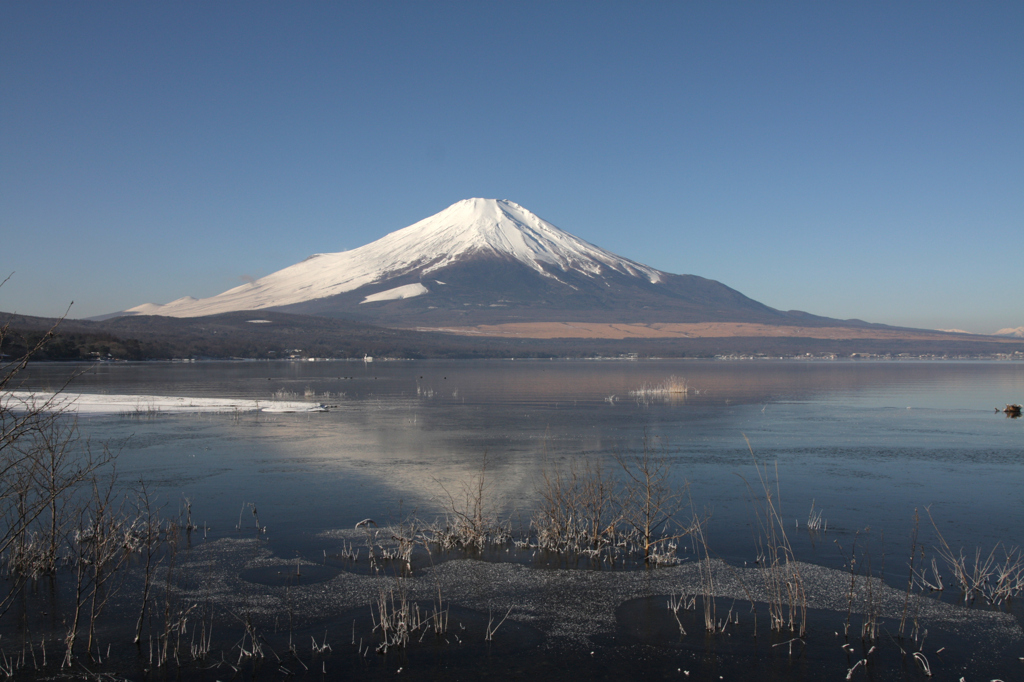 Mt.fuji110114_003