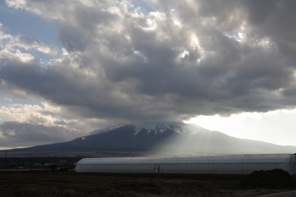 Mt.fuji110113_004
