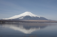 3/14朝の富士山002