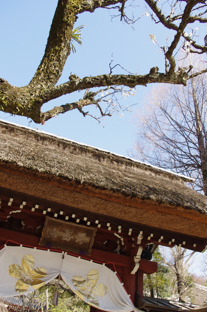 深大寺の門