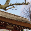 深大寺の門