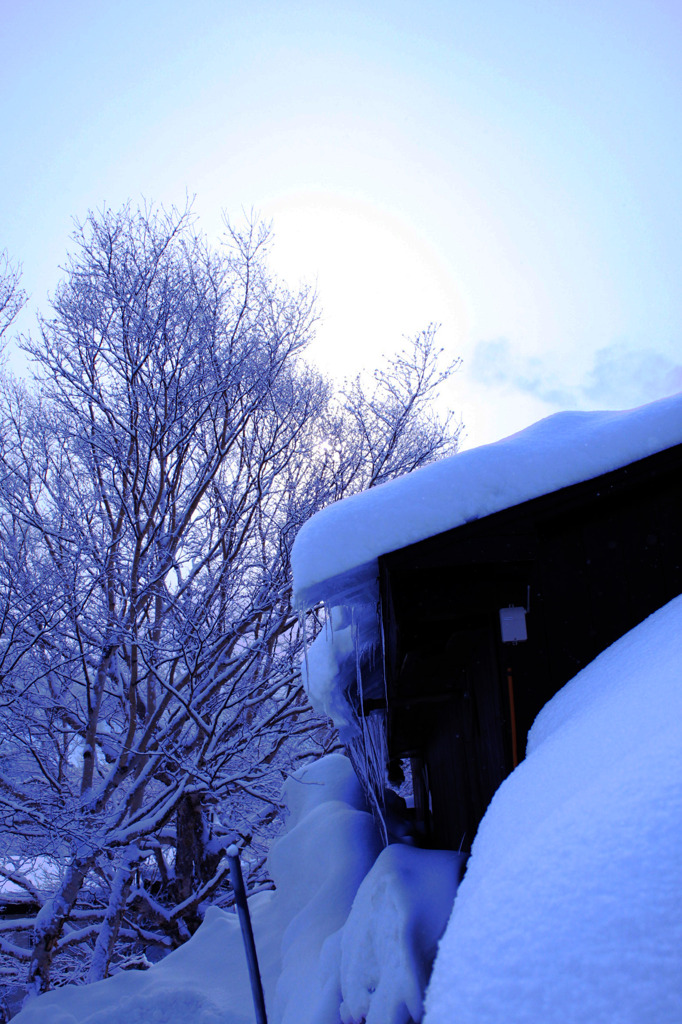 雪の朝だ