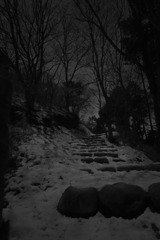 Snow Journey