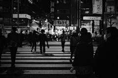 -Zebra On The Road-