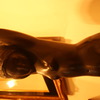 DSC00088