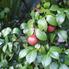 DSC00061