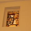 DSC00082