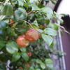 DSC00063