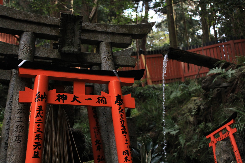 紅い鳥居