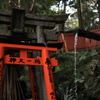 紅い鳥居