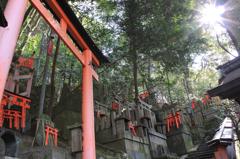 何千もの鳥居の一部