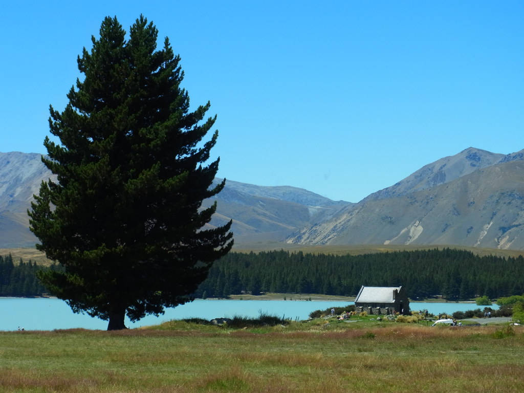 ニュージー旅行-2GXR 157