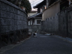 路地　