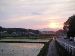 田んぼ１
