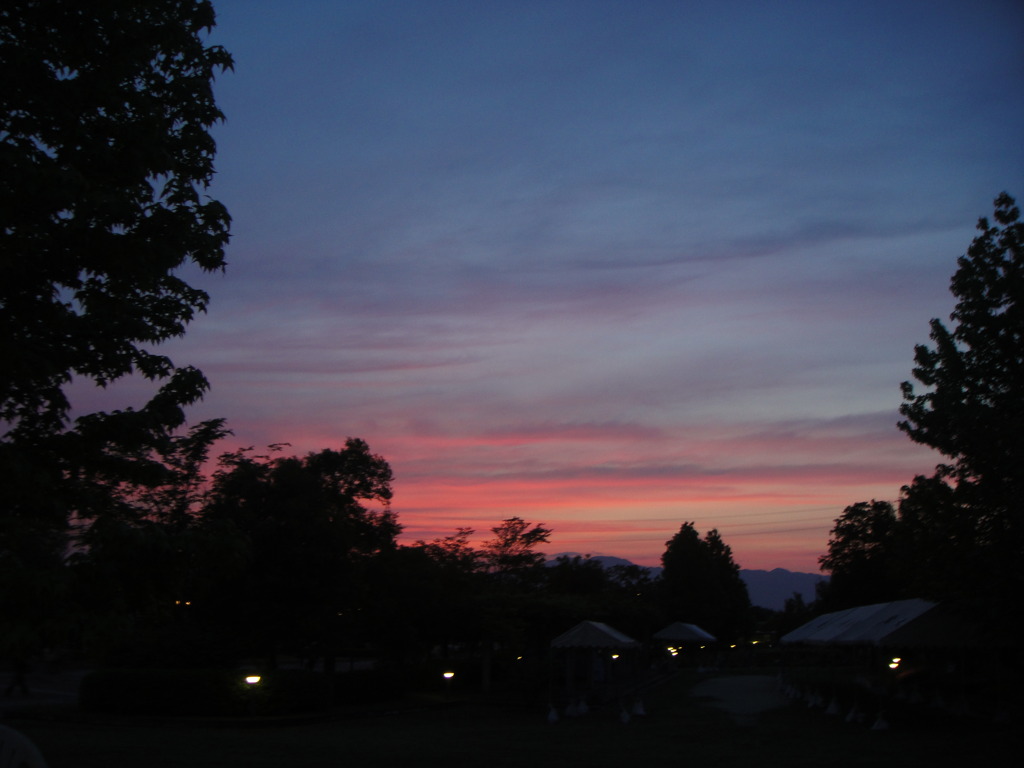 大学１