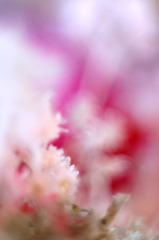 IMG_6602BB