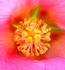 DSCN01021