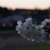 _IGP9557
