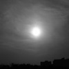 _IGP8973