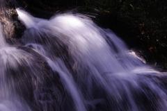 _IGP3847