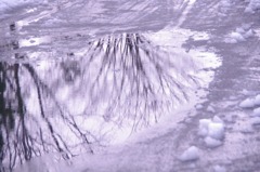 IMGP7217