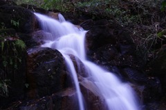 _IGP3867