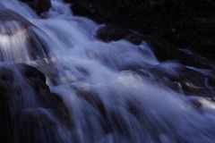_IGP3865