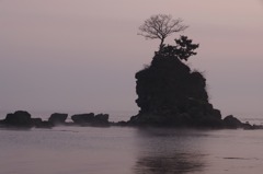 _IGP7784