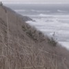 耐える