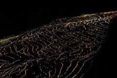 _IGP3065