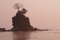 _IGP7904