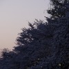 _IGP9583