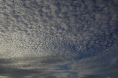 _IGP3023