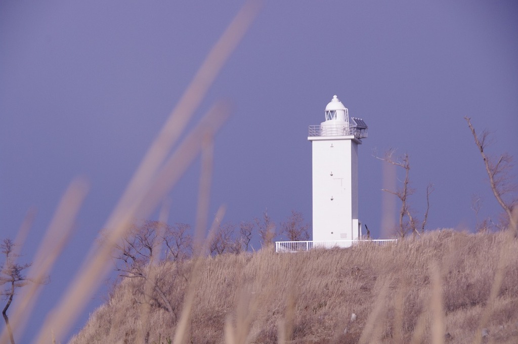 _IGP8220