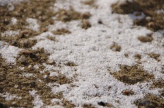 雪