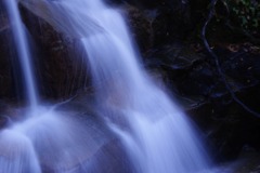 _IGP3869
