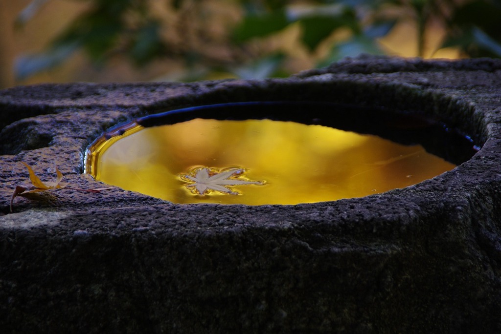 _IGP3700