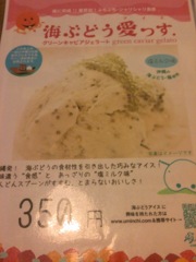 IMG_1110 - コピー