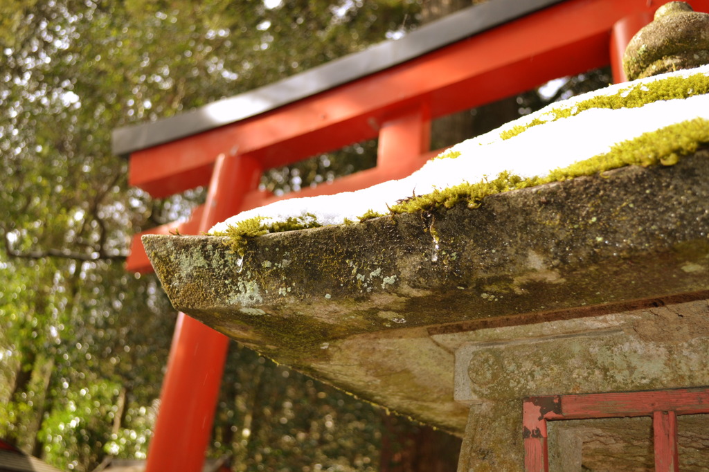 箱根神社１