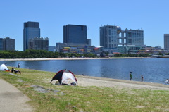 夏だぜ、海だぜ。