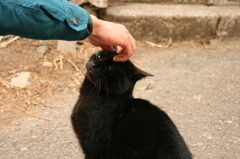 きもちいい