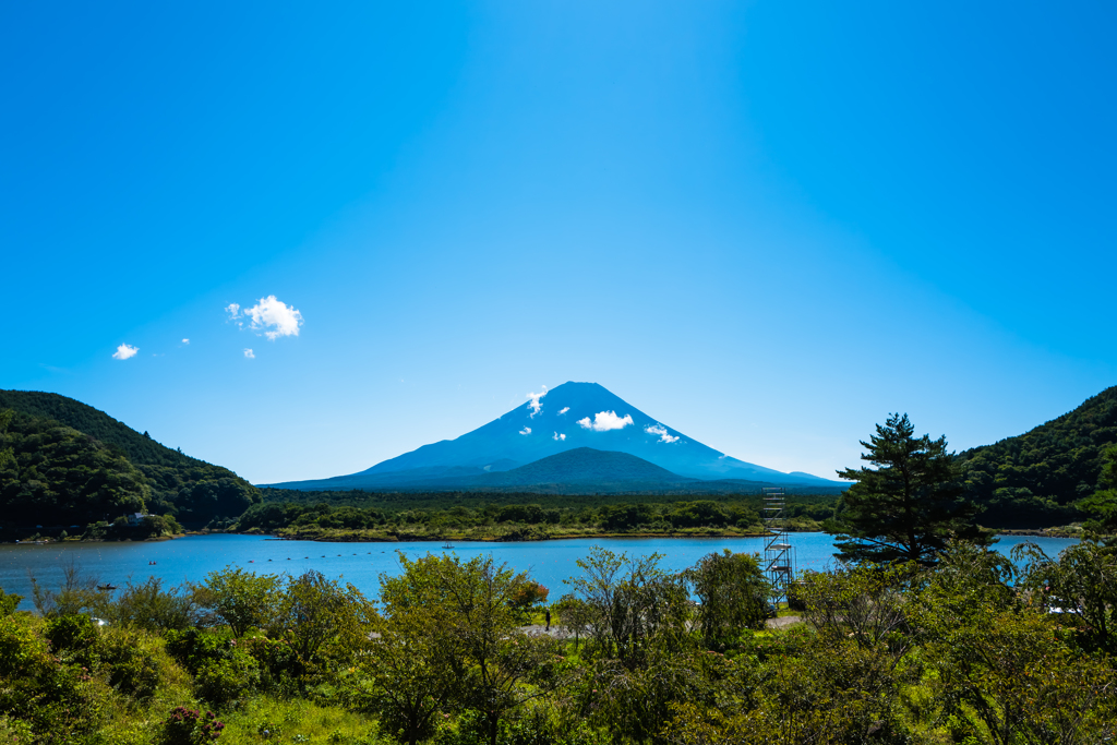 富士