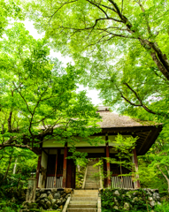 常寂光寺