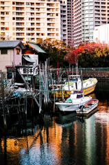 tokyopoem
