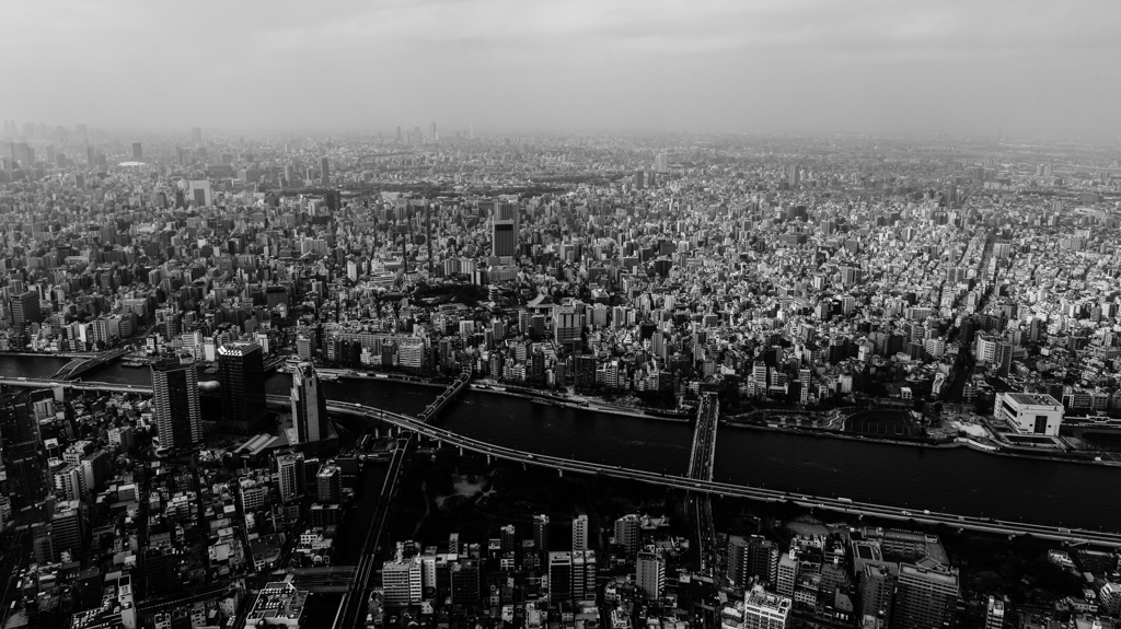東京